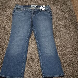Torrid Women's Classic Blue Boot Cut Jeans